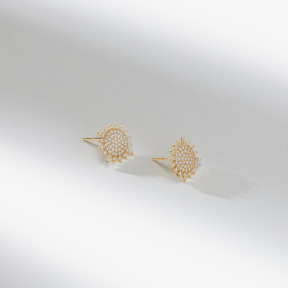 packshot image of the indira earrings in gold
