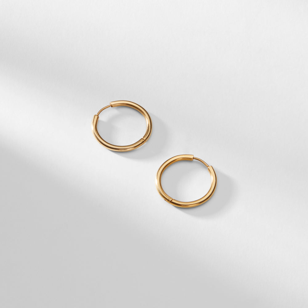 Packshot image of the Claressa Earrings in Gold