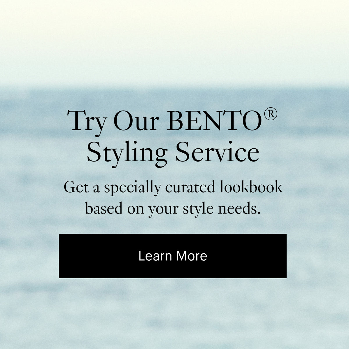 BENTO by M.M.LaFleur