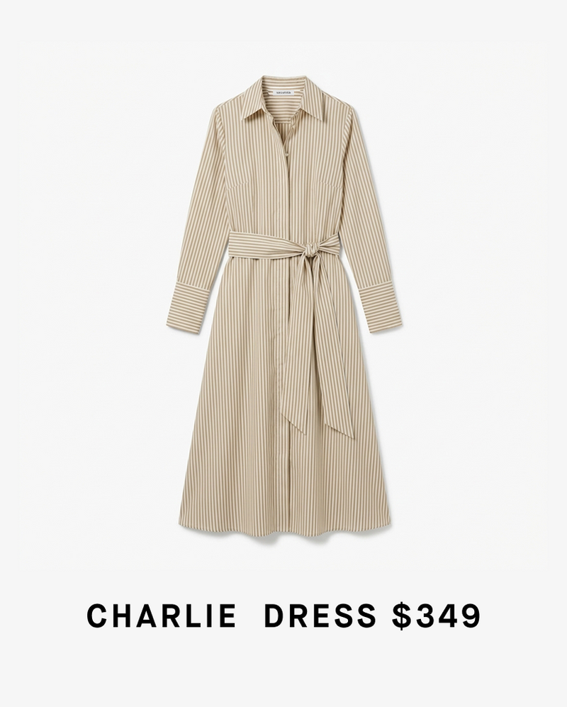 Beige striped dress with a belt on a white background, labeled 'CHARLIE DRESS $349'.