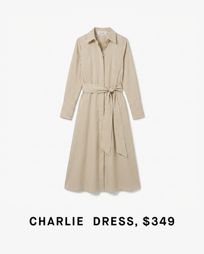 Beige striped dress with a belt on a white background, labeled 'CHARLIE DRESS, $349'.