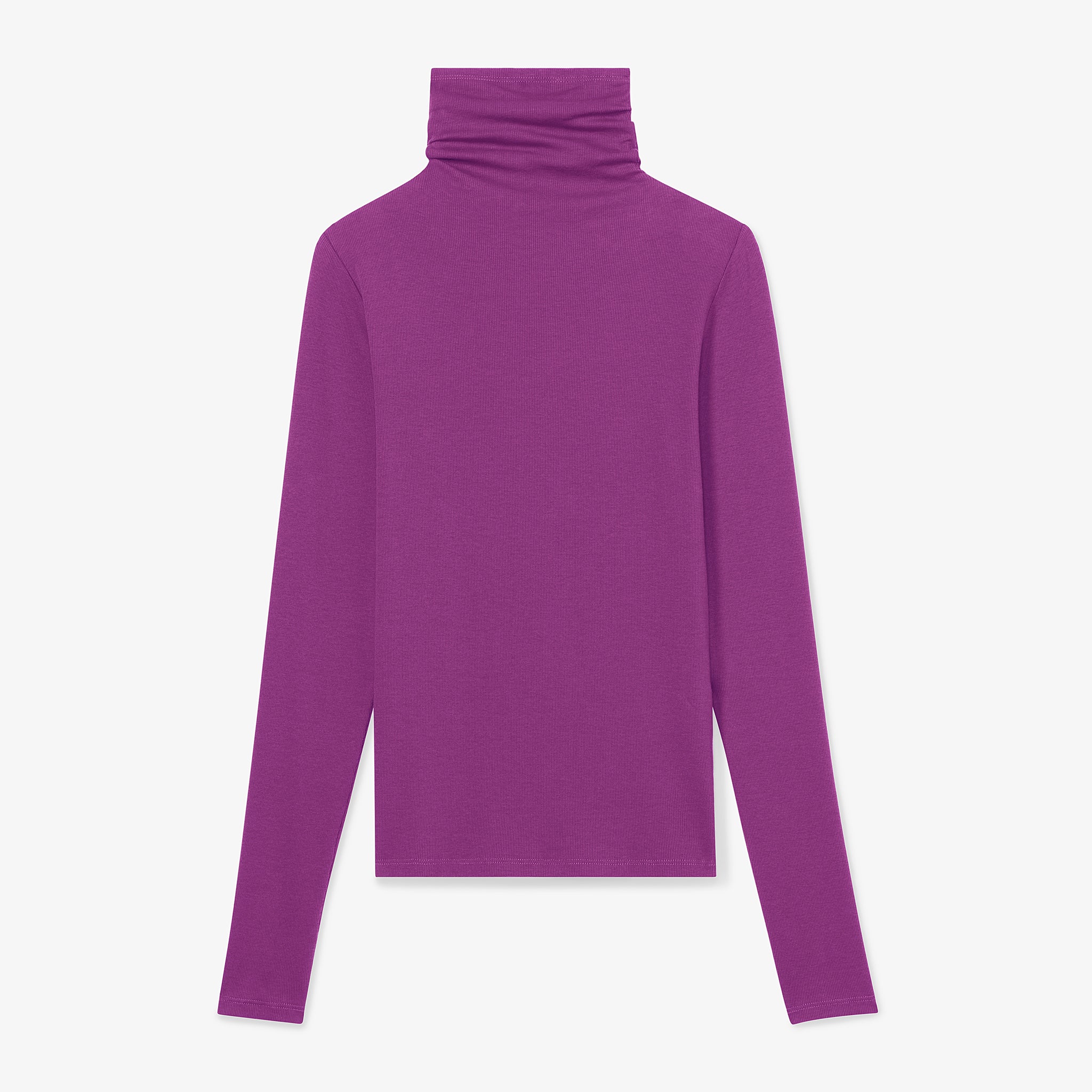 Packshot image of the Axam T-Shirt in Purple Jasper