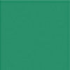tropical green color swatch 