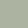 Minty green color swatch 